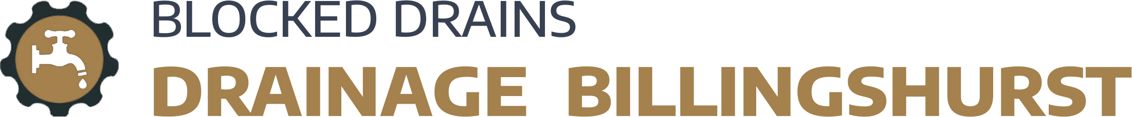 website logo